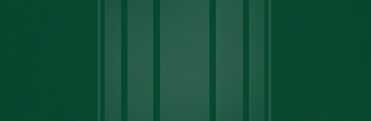 SH17